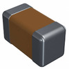 HH18N561G500CT Image