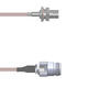 Q-040200005003i Image